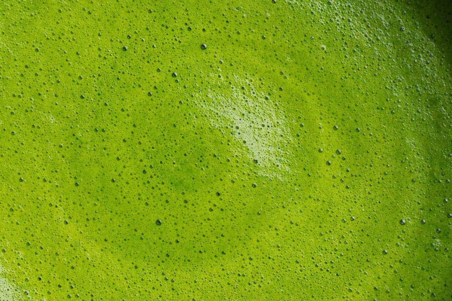 Taste the best matcha in Strasbourg at The Matcha Club by Milo Café. A hidden gem in Neudorf offering authentic Japanese matcha from Marukyu Koyamaen. Perfect for tourists, matcha lovers, and café seekers.
